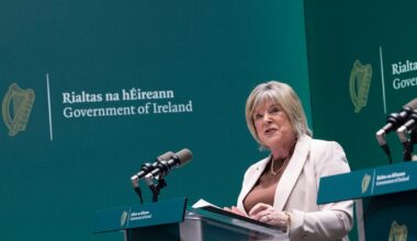 Head of HSE gender healthcare to step down at end of year after drafting new model of care – The Irish Times