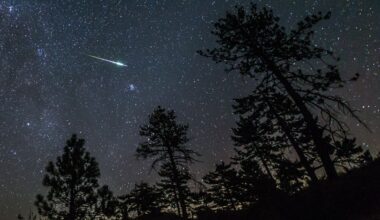 Billions of miles and thousands of years in the making: This is the life of a Perseid shooting star