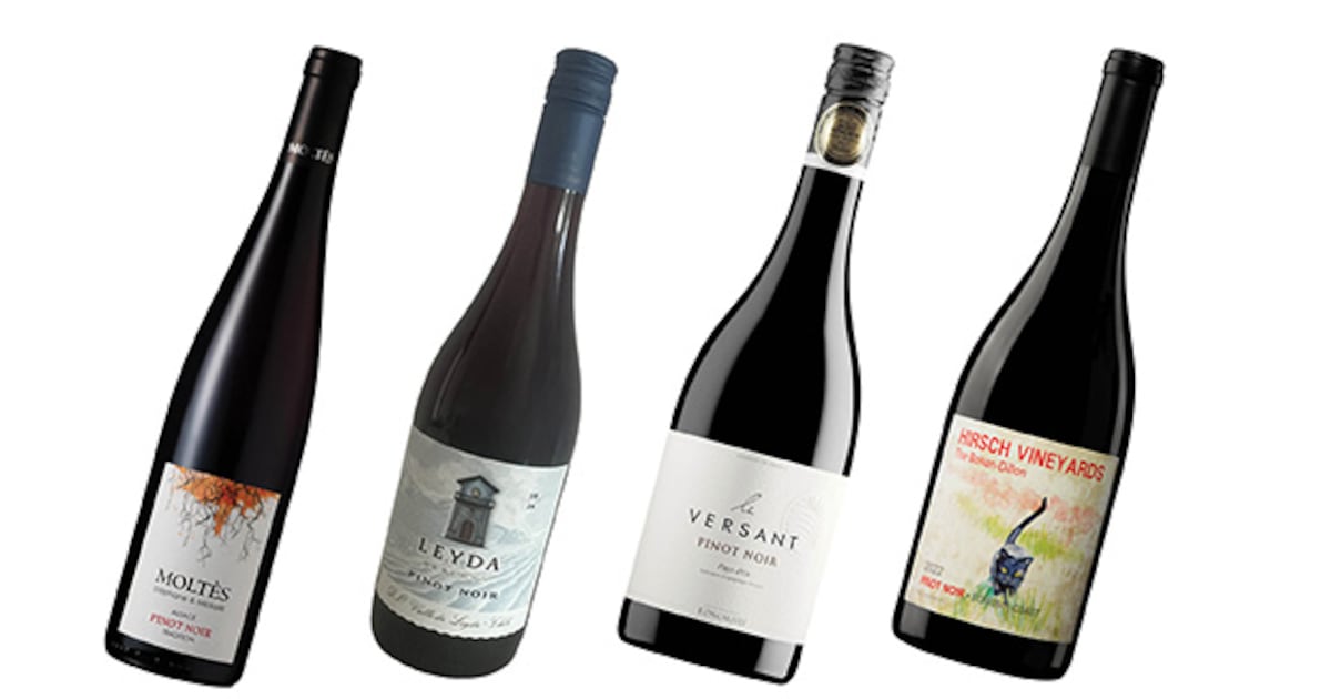 A pinot noir for every budget including one of my favourites – The Irish Times
