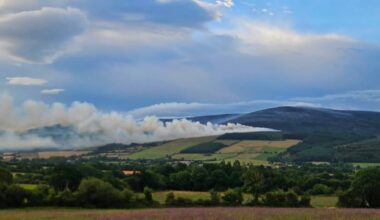 Wildfire reignites on Slievenamon after being brought under control last night – The Irish Times