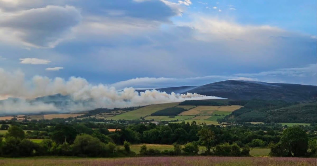 Wildfire reignites on Slievenamon after being brought under control last night – The Irish Times