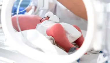 newborn