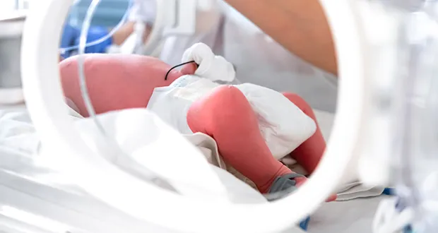 newborn