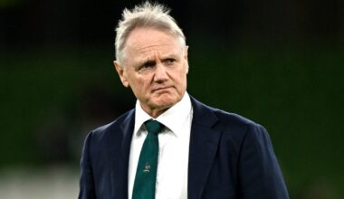 Joe Schmidt's new role in Irish rugby confirmed