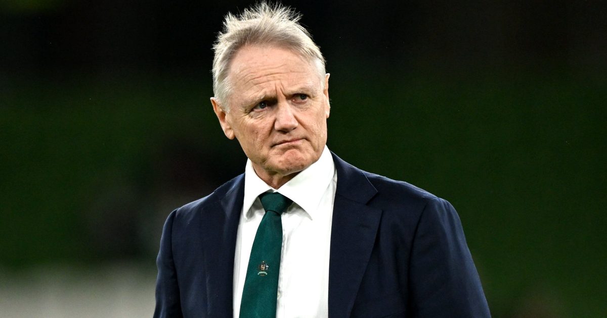 Joe Schmidt's new role in Irish rugby confirmed