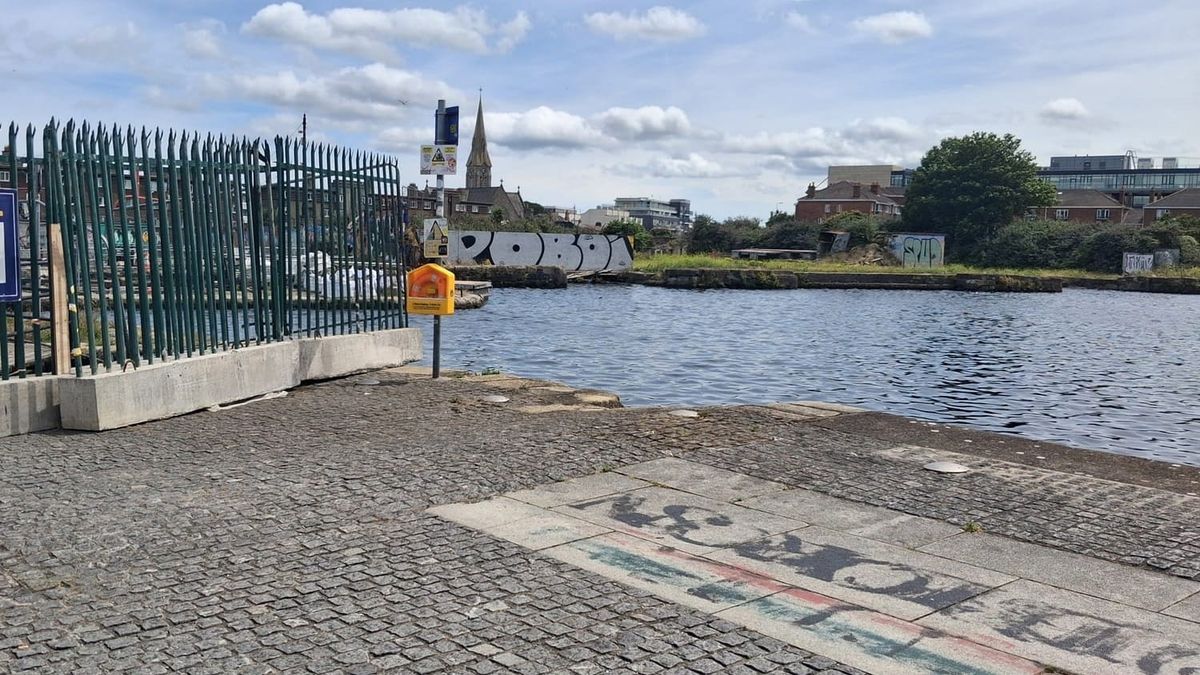 Waterways Ireland is starting to plot what, exactly, should be built on its lands at Grand Canal Basin