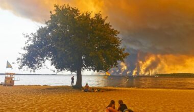 Were this summer’s heatwaves caused by El Niño, or something even more terrifying? – The Irish Times