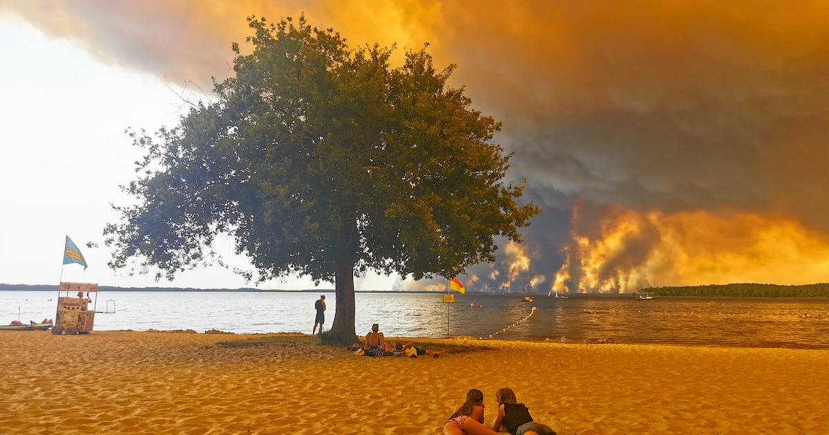 Were this summer’s heatwaves caused by El Niño, or something even more terrifying? – The Irish Times