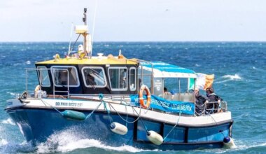 Discover Ireland's Eye and Howth Coastal Boat Tour