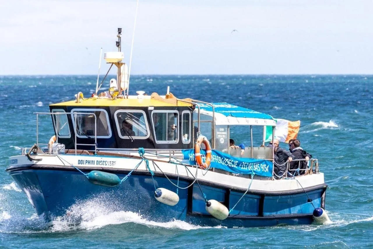Discover Ireland's Eye and Howth Coastal Boat Tour