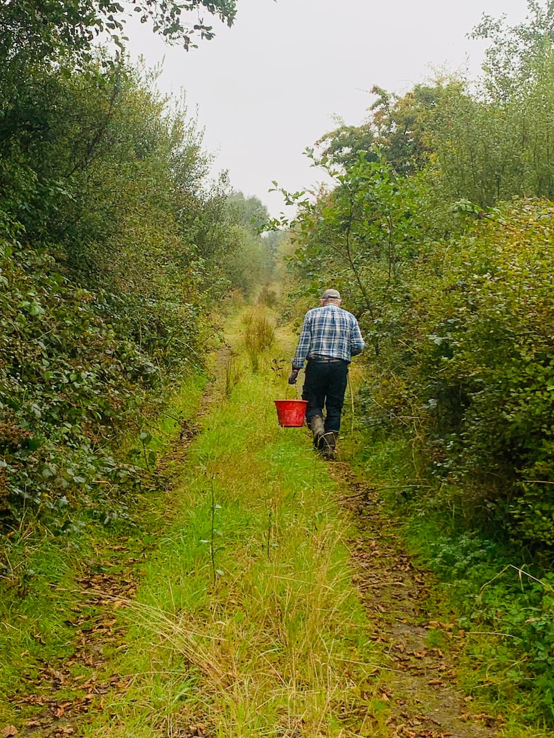 Hedgerows Ireland - Irish Creamery Milk Suppliers Association photography competition: Eilis Gleeson of Gneevguilla, Co Kerry, was the winner of the senior category for this shot of her father Tim on a boreen bounded by hedgerows. 
Photograph: Eilis Gleeson/ICMSA
