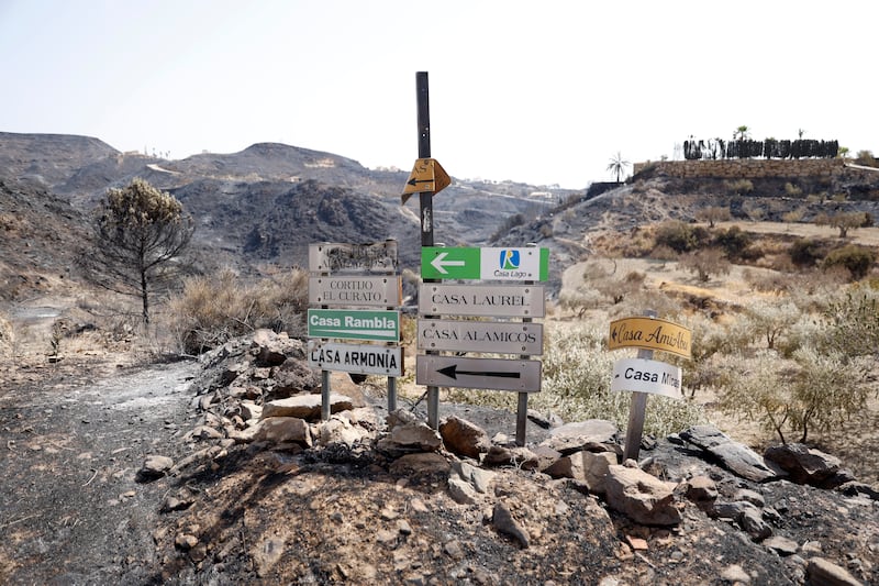 Damaged road signs and a burnt landscape after a wildfire near the municipality of Bédar. Photograph: Pablo Blazquez Dominguez/Getty Images