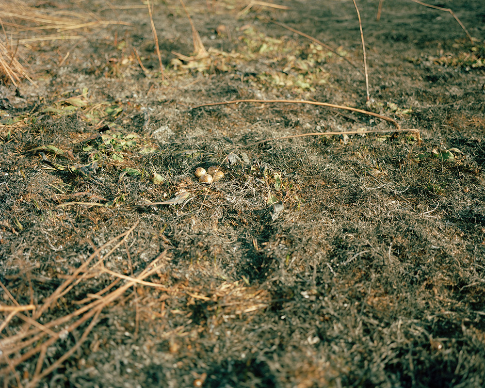 © Zackery Hobler, Beneath Two Skies