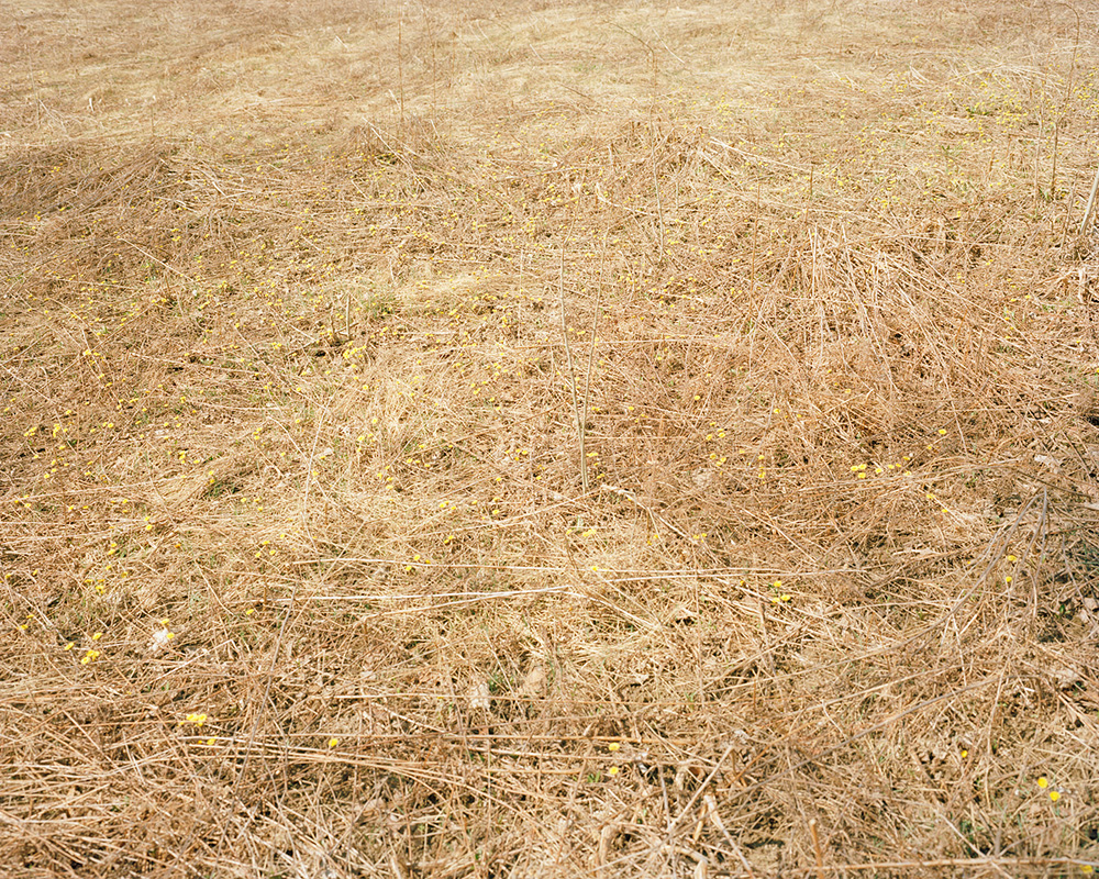 © Zackery Hobler, Beneath Two Skies