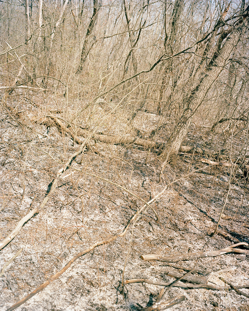 © Zackery Hobler, Beneath Two Skies