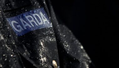 Six adult men removed from State on foot of deportation order – The Irish Times