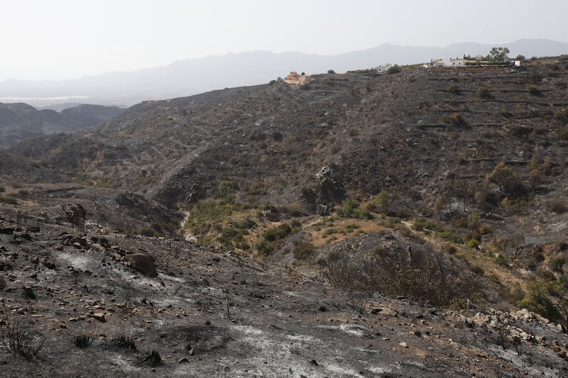 The view of a burnt landscape after a wildfire near the municipality of Bédar. Photograph: Pablo Blazquez Dominguez/Getty Images