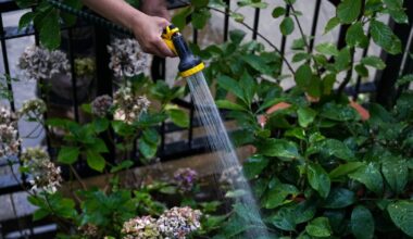 Why does Ireland need a hosepipe ban? The leaky pipes behind our water issues – The Irish Times