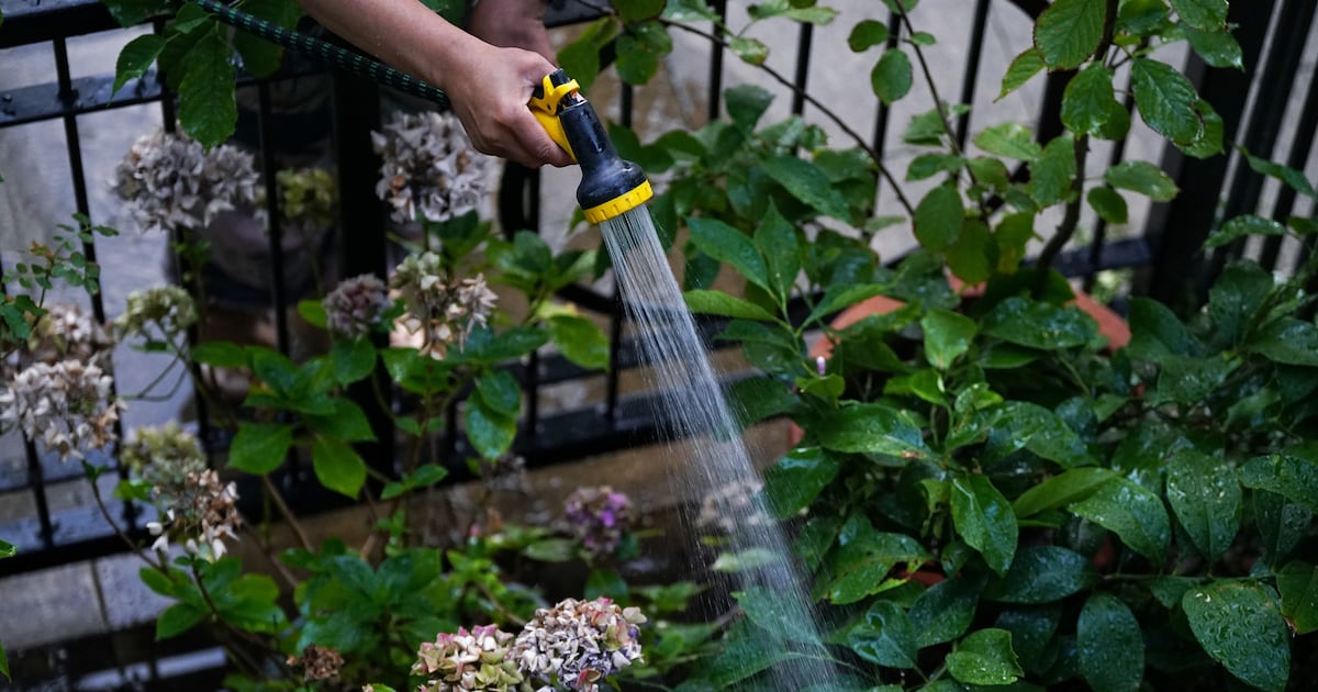 Why does Ireland need a hosepipe ban? The leaky pipes behind our water issues – The Irish Times
