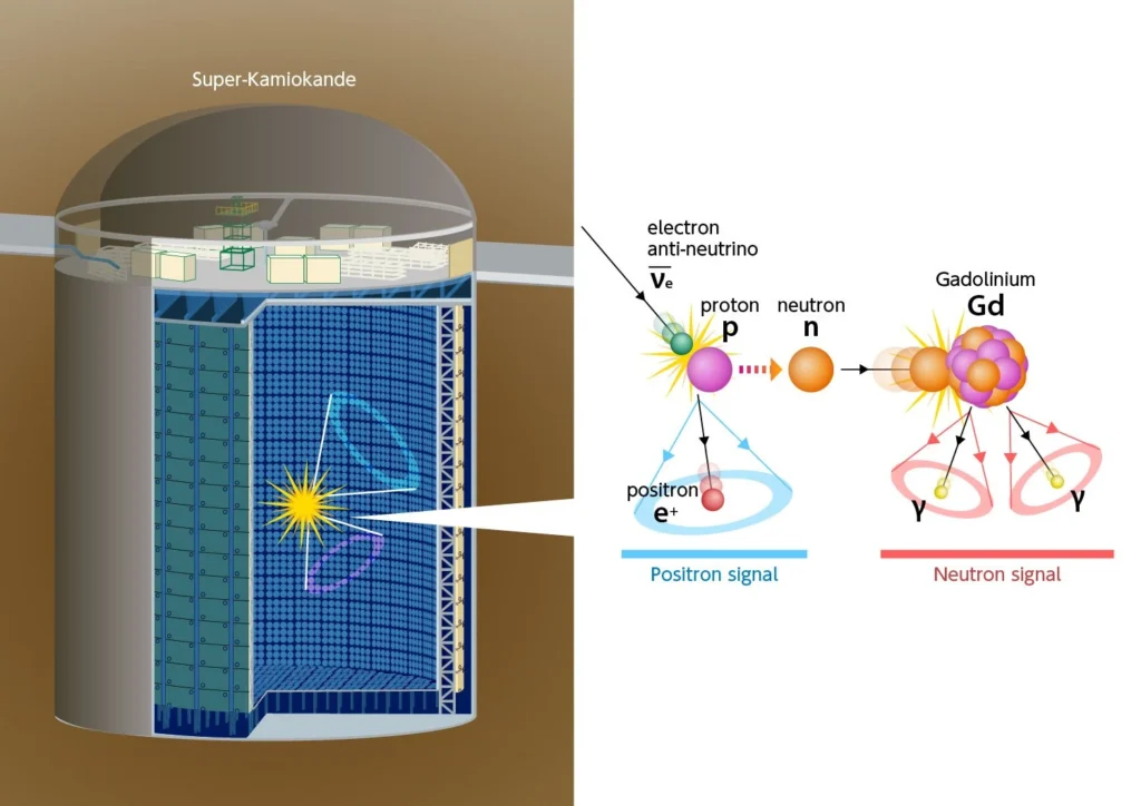 Across the universe, supernova explosions occur several times per second. Since the birth of the universe, neutrinos emitted by these supernovae have diffused through space and accumulated over cosmic time