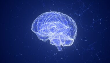 How Immune Dysregulation Contributes to Psychiatric Disorders