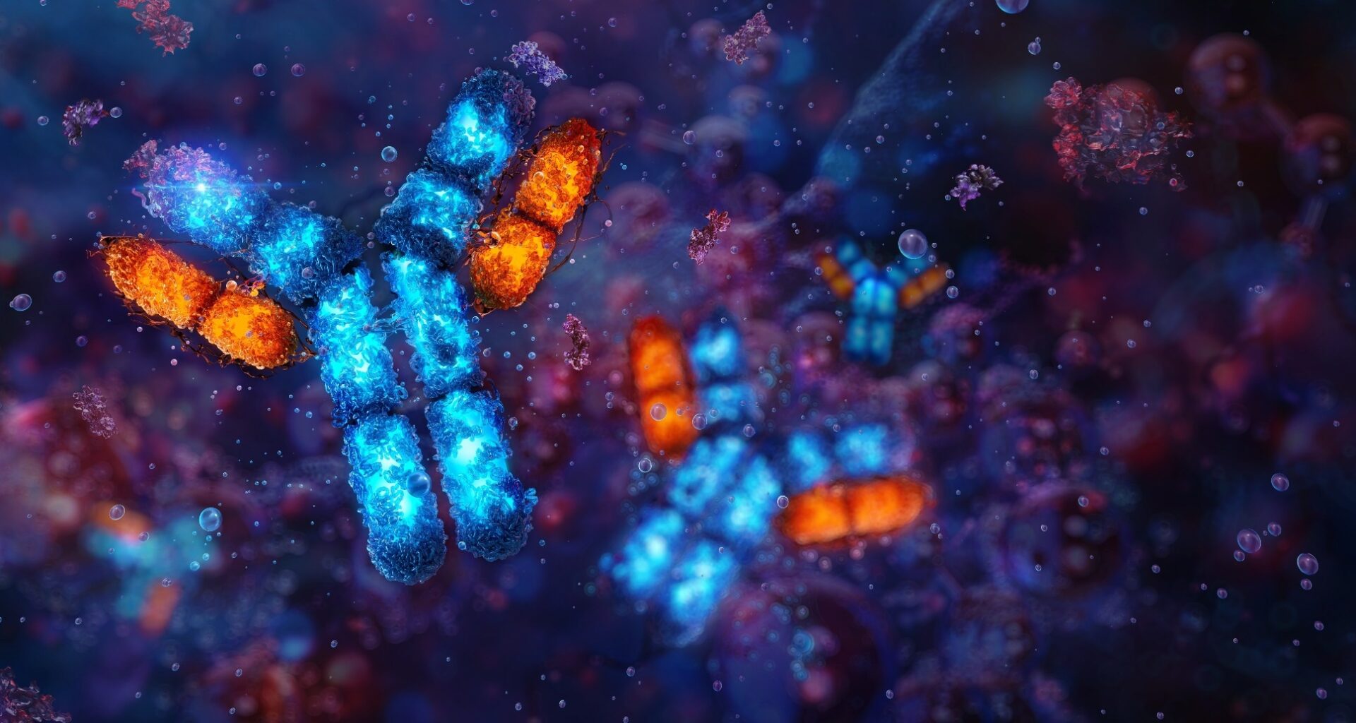 Antigen-antibody interaction. An antigen molecule binding to a specific antibody. Antigen, complex 3D structure with multiple epitopes and antibody as a Y-shaped molecule.