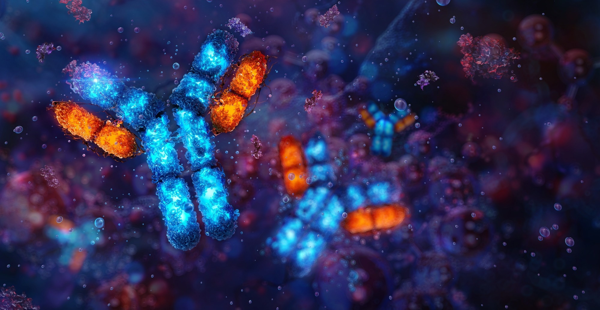 Antigen-antibody interaction. An antigen molecule binding to a specific antibody. Antigen, complex 3D structure with multiple epitopes and antibody as a Y-shaped molecule.