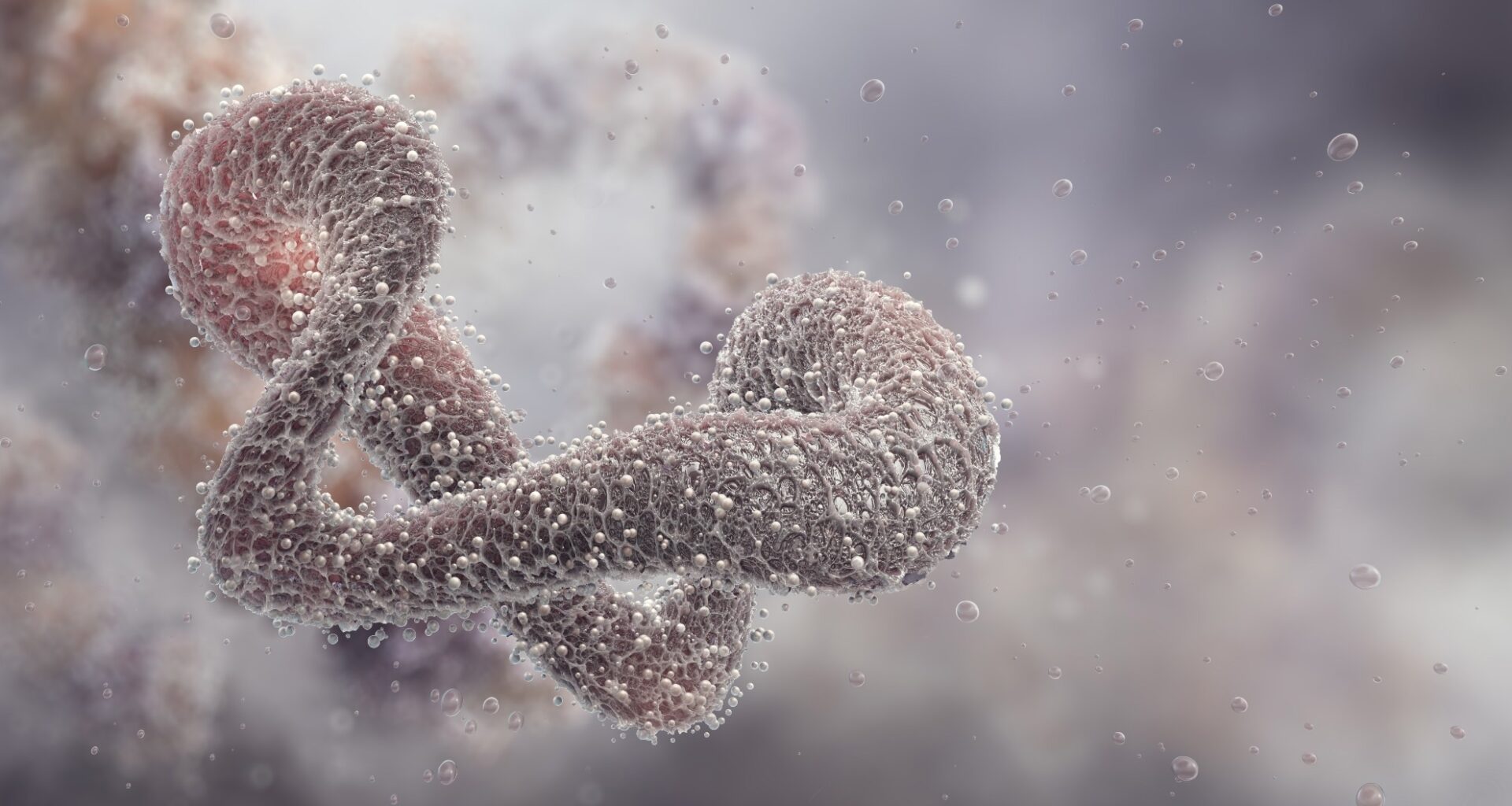 Study: AI-redesigned starting points and outcomes enhance protein evolution. Image Credit: Corona Borealis Studio / Shutterstock