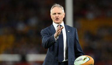 Joe Schmidt lands first coaching role following Wallabies exit