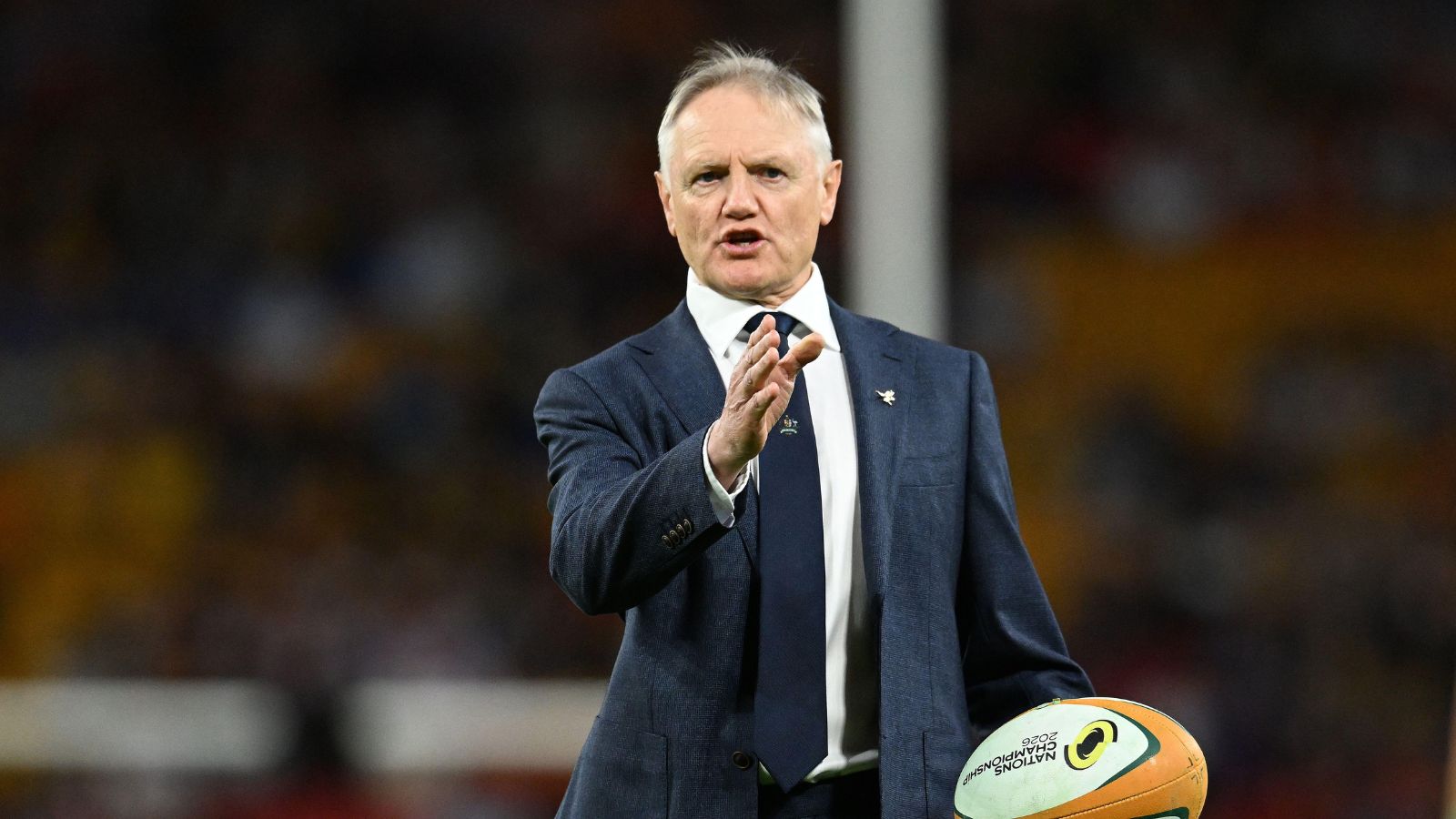 Joe Schmidt lands first coaching role following Wallabies exit