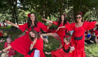 Hundreds of Kate Bush ‘Cathys’ dance in Fairview Park for Wuthering Heights Day – The Irish Times
