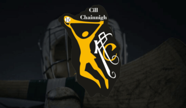 Kilkenny Appoint Tommy Shefflin as New Senior Camogie Manager