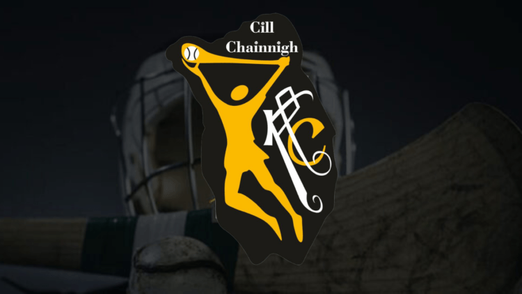 Kilkenny Appoint Tommy Shefflin as New Senior Camogie Manager