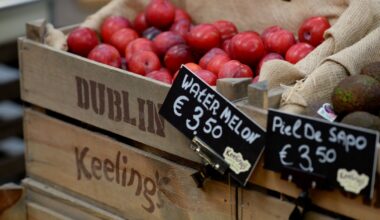 Former Keelings worker loses challenge at WRC to his sacking – The Irish Times