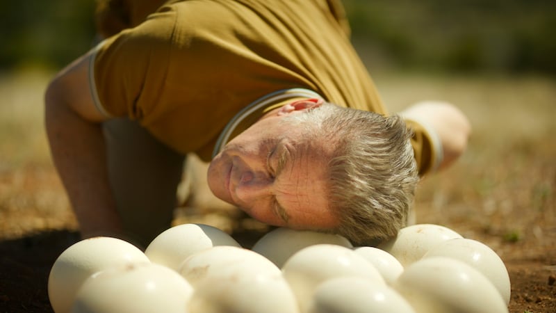 Evolution: Chris Packham with ostrich eggs on a farm in South Africa. Photograph: Will Edwards/BBC Studios