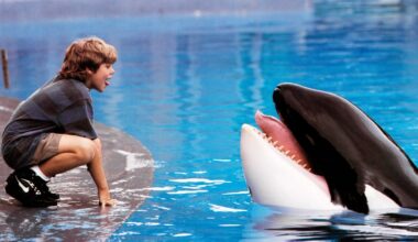 'Free Willy' Reboot in the Works at Warner Bros.