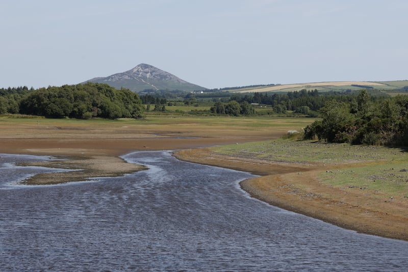 Low water levels this week at the Vartry Reservoir near Roundwood in Co Wicklow. Water would normally be up to near the tree line.  Photograph: Nick Bradshaw