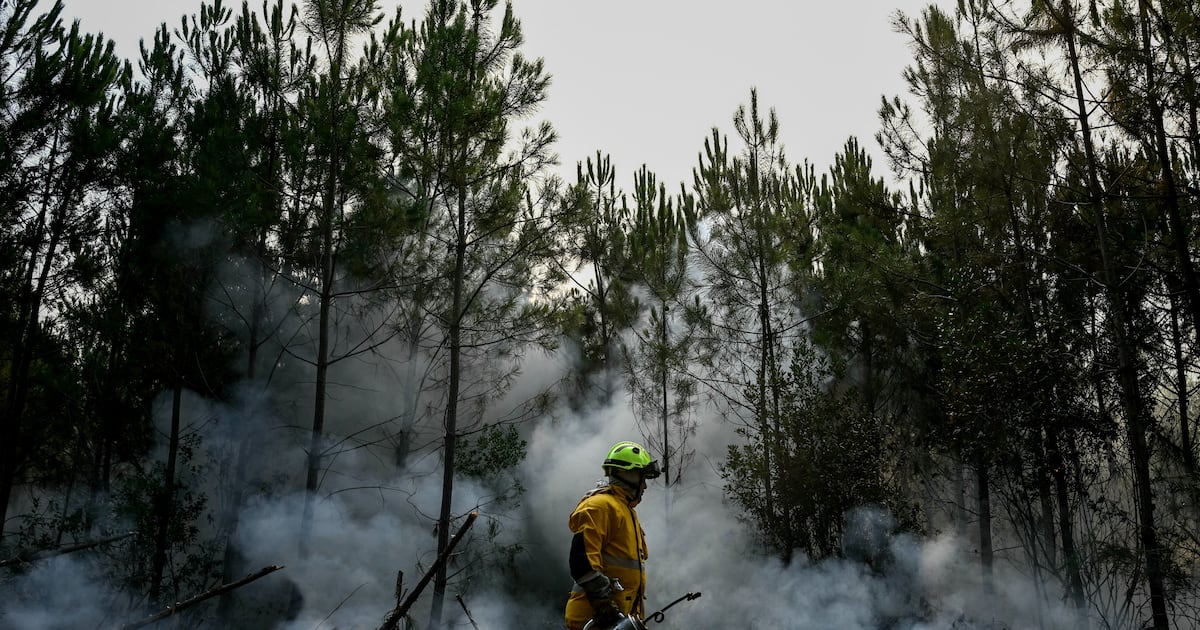 EU weather records broken as multiple countries battle to contain wildfires – The Irish Times