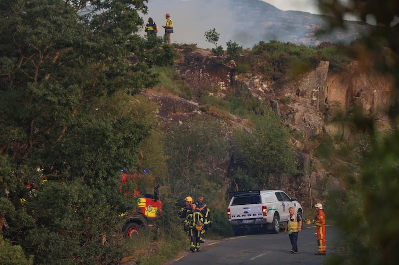 The affected area includes a mixture of dry heath, wet heath and blanket bog along with pockets of native old oak woodland. Photograph: Valerie O'Sullivan/NPWS