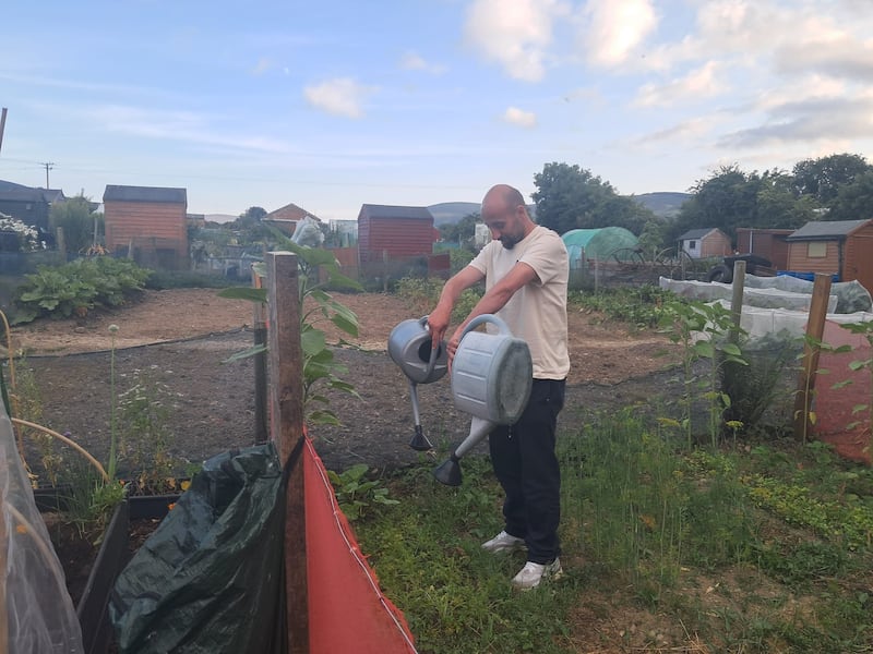 Stefan Brindusoiu must now resort to the watering can and the long trek from the tap if he wants to keep his plots alive. Photograph: Paul Colgan