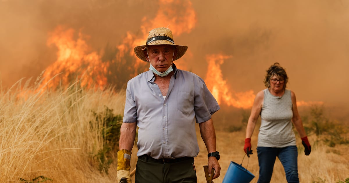 Wildfires in southern Spain kill 12, emergency agency says – The Irish Times