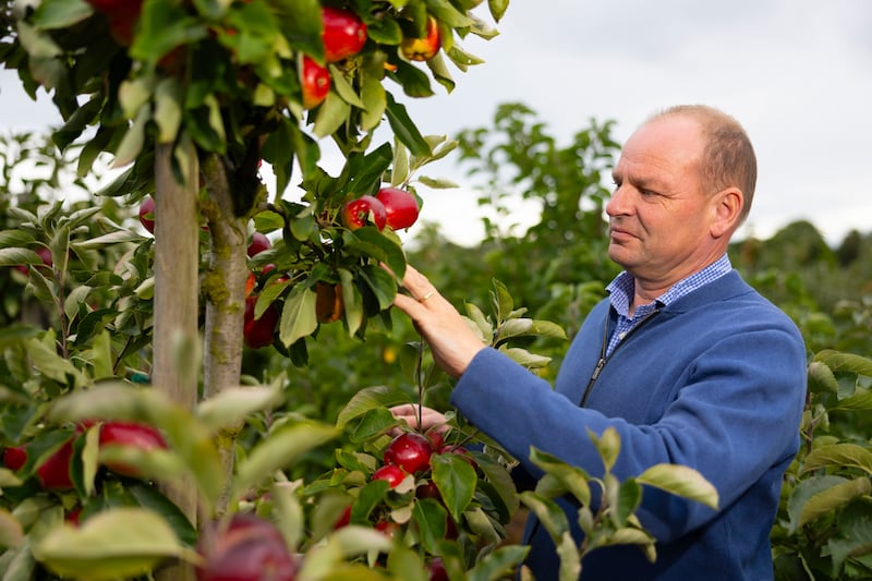 Cornelius Traas of the Apple Farm, Cahir, Co Tipperary. Photograph: Patrick Browne
