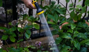 Six-week hosepipe ban issued for parts of east of country amid ongoing hot weather – The Irish Times