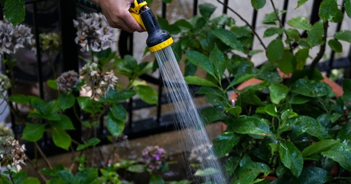 Six-week hosepipe ban issued for parts of east of country amid ongoing hot weather – The Irish Times