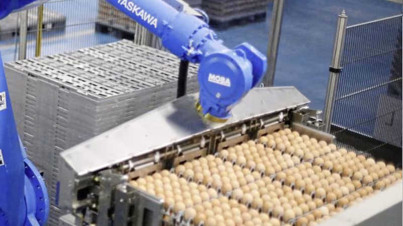 Co Fermanagh egg group now among Northern Ireland’s most profitable businesses