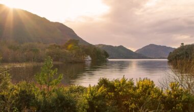 Multiple fire units respond to large wildfire at Killarney National Park – The Irish Times