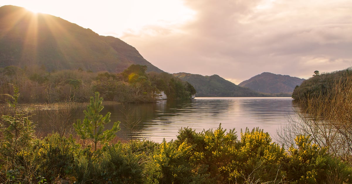 Multiple fire units respond to large wildfire at Killarney National Park – The Irish Times