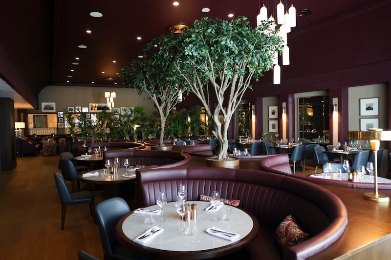 Leafy trees and booths in Black Sheep