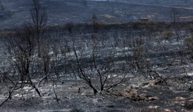 Spain and France continue to battle wildfires as intense heat grips southern Europe – The Irish Times
