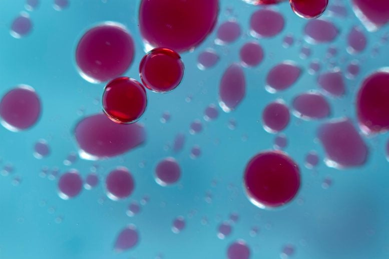 Red Blood Droplets